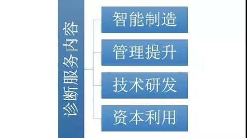 我市啟動倍增企業全方位全流程診斷服務，助力網絡技術研發及技術服務企業高質量發展